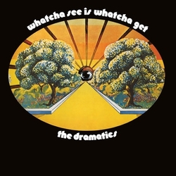 Dramatics Whatcha See Is Whatcha Get LP