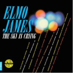 Elmo James Sky Is Crying VINYL LP