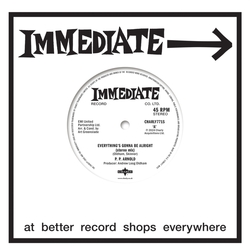 Arnold P.P. Everything Is Gonna Be Alright Everything Is Gonna Be Alright REMIX VINYL LP