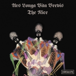 Nice Ars Longa Vita Brevis X-RAY MARBLED VINYL LP