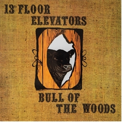 13Th Floor Elevators Bull Of The Woods HALF SPEED REMASTER VINYL LP