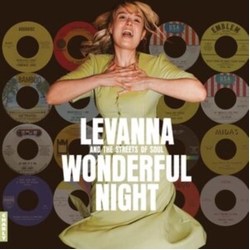 Various Artists Wonderful Night VINYL LP