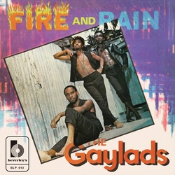Gaylads Fire & Rain VINYL LP