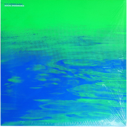 Pye Corner Audio Social Dissonance VINYL LP