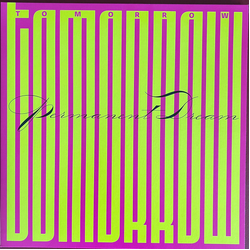 Tomorrow Permanent Dream VINYL LP