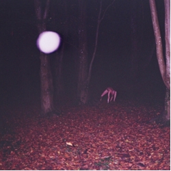 Buzzard Buzzard Buzzard Skinwalker VINYL LP