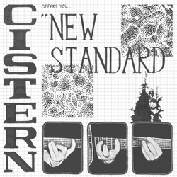 Cistern New Standard VINYL LP