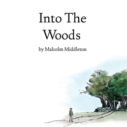 Malcolm Middleton Into The Woods WHITE VINYL LP