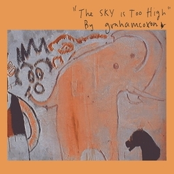 Graham Coxon Sky Is Too High VINYL LP