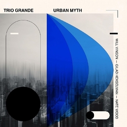 Will; Gilad Hekselman & Nate Wood Vinson Trio Grande: Urban Myth VINYL LP
