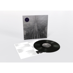 Arone & Stargaze Dyer Arone Dyer & Stargaze VINYL LP