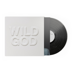 Nick & The Bad Seeds Cave Wild God VINYL LP
