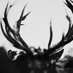 Ihsahn Ihsahn 2 VINYL LP