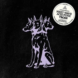 Curses Next Wave Acid Punx Trois CHAPTER 3 2 VINYL LP