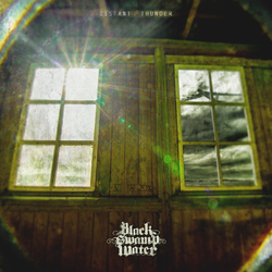 Black Swamp Water Distant Thunder Vinyl LP