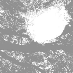 Comets On Fire Field Recordings From The Sun Vinyl LP