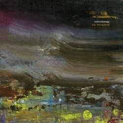 Roy Montgomery Audiotherapy VINYL LP