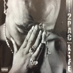 2Pac Best Of 2Pac - Part 2: Life VINYL GRAY 2 LP