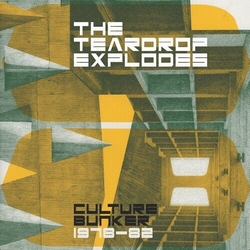 Teardrop Explodes Culture Bunker 1978-82 VINYL LP BOX SET