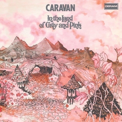 Caravan In The Land Of Grey & Pink (2 LP/Coloured VINYL) VINYL LP