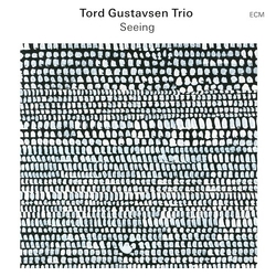 Tord Trio Gustavsen Seeing VINYL LP
