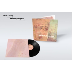 David Sylvian Good Son Vs The Only Daughter THE BLEMISH REMIXES VINYL LP