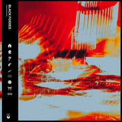 Unknown Black Foxxes VINYL LP