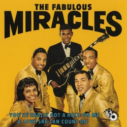 Miracles You'Ve Really Got A Hold On Me VINYL LP