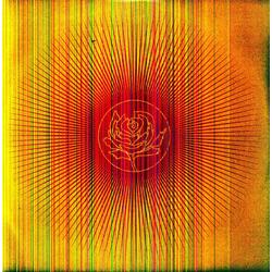 Ryan Adams Easy Tiger