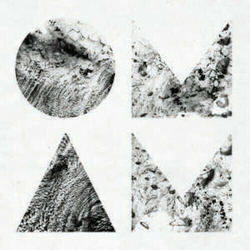 Of Monsters & Men Beneath The Skin VINYL LP