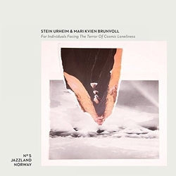 Urheim Stein/M K Brunvoll For Individuals Facing The Ter VINYL LP