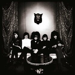The Horrors Strange House Vinyl LP