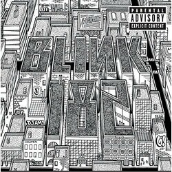 Blink-182 Neighborhoods VINYL LP
