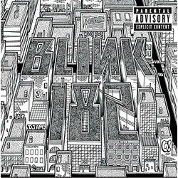 Blink-182 Neighborhoods Vinyl LP