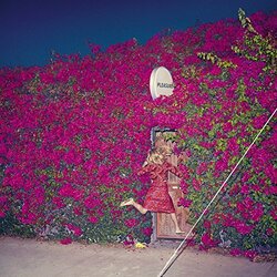 Feist Pleasure Vinyl LP