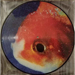Vince Staples Big Fish Theory Vinyl LP