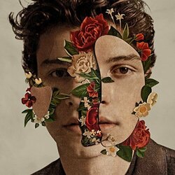 Shawn Mendes Shawn Mendes VINYL LP