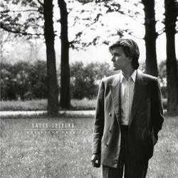 David Sylvian Brilliant Trees Vinyl LP