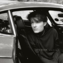 David Sylvian Gone To Earth (180G/2 LP/Dl Card) Vinyl LP