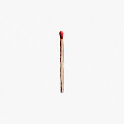 Rammstein Rammstein (2 LP/180G) Vinyl LP