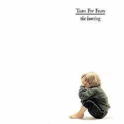 Tears For Fears Hurting Vinyl LP
