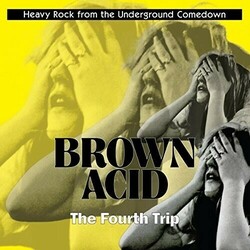 Various Artists Brown Acid: The Fourth Trip VINYL LP