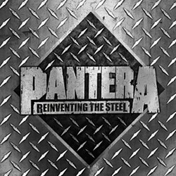 Pantera Reinventing The Steel VINYL LP