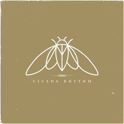 Cicada Rhythm Cicada Rhythm DL CODE VINYL LP