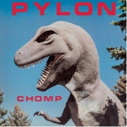 Pylon Chomp MULTI-COLOR SPLATTER VINYL LP