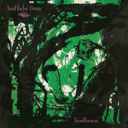 Buffalo Tom Birdbrain MINT GREEN VINYL LP