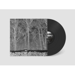 Pile Sunshine & Balance Beams VINYL LP