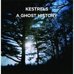 Kestrels A Ghost History VINYL LP