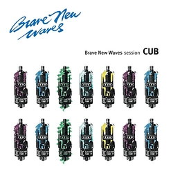 Cub Brave New Waves Session VINYL LP