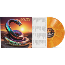 Y & T Live At Sherwood Hall Salinas California Oct. 1 83 ORANGE YELLOW VINYL LP